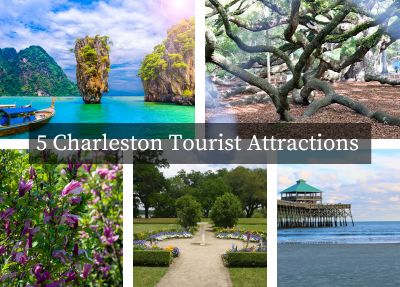 A Guide to 5 Charleston Tourist Attractions for Nature Lovers