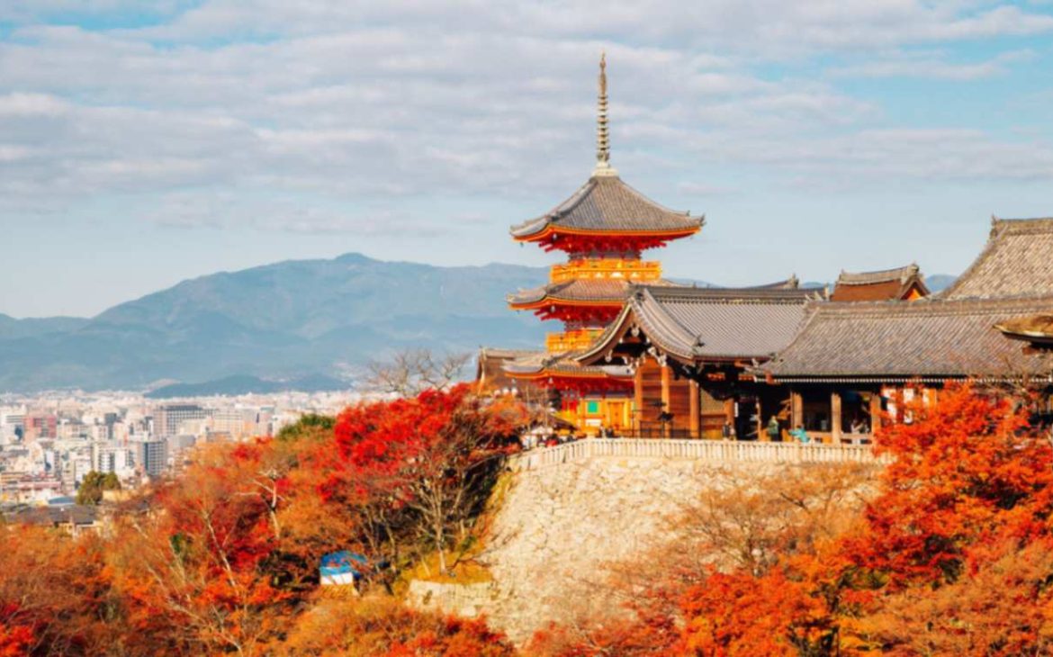 Best Things To Do in Japan